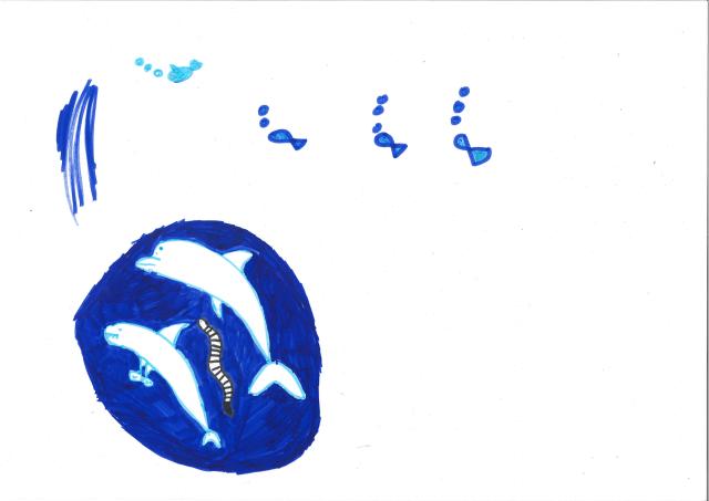 Bild 13